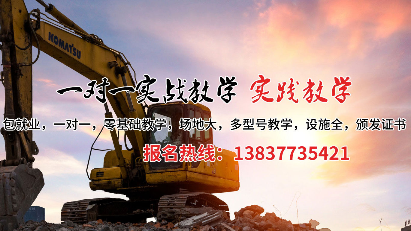 新龙县挖掘机培训案例